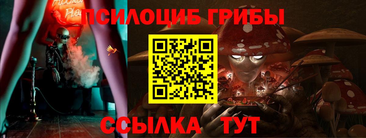 цена наркотик  Вход с VPN  Копейск  Галлюциногенные грибы Magic Shrooms  Галлюциногенные грибы GOLDEN TEACHER 