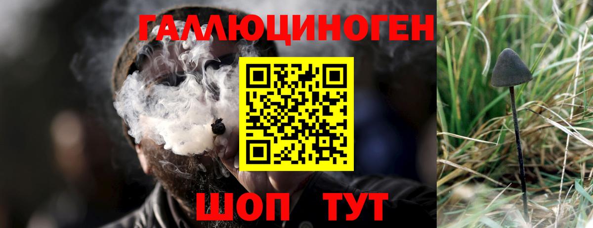 Псилоцибиновые грибы Magic Shrooms Копейск